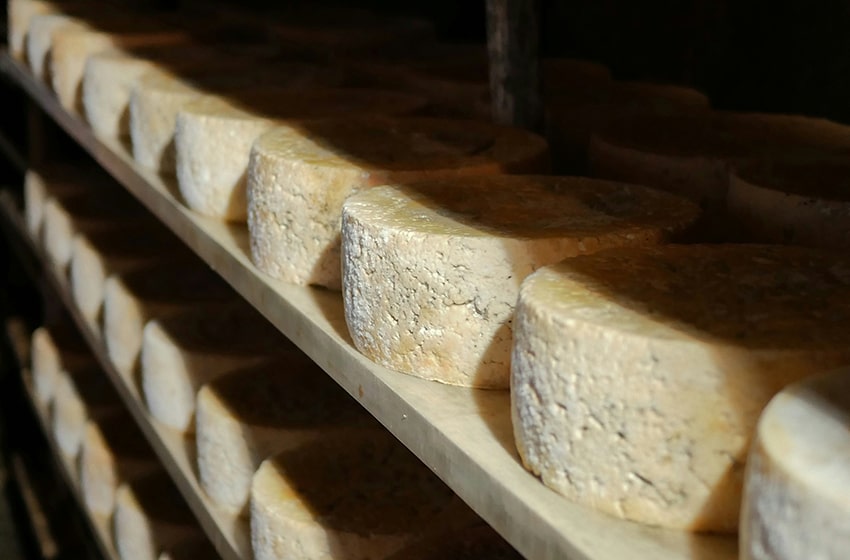 Battistella Formaggi - tradycja włoskiego serowarstwa z Veneto